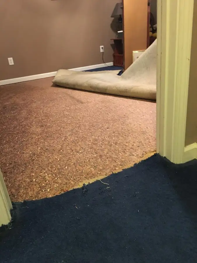 Carpet pad removal revealing water damage during Drying & Dehumidification in Three Oaks