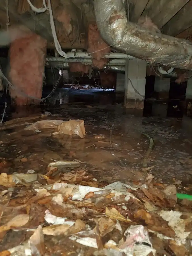 Crawl space flood assessment for Leak Detection & Repair in Three Oaks