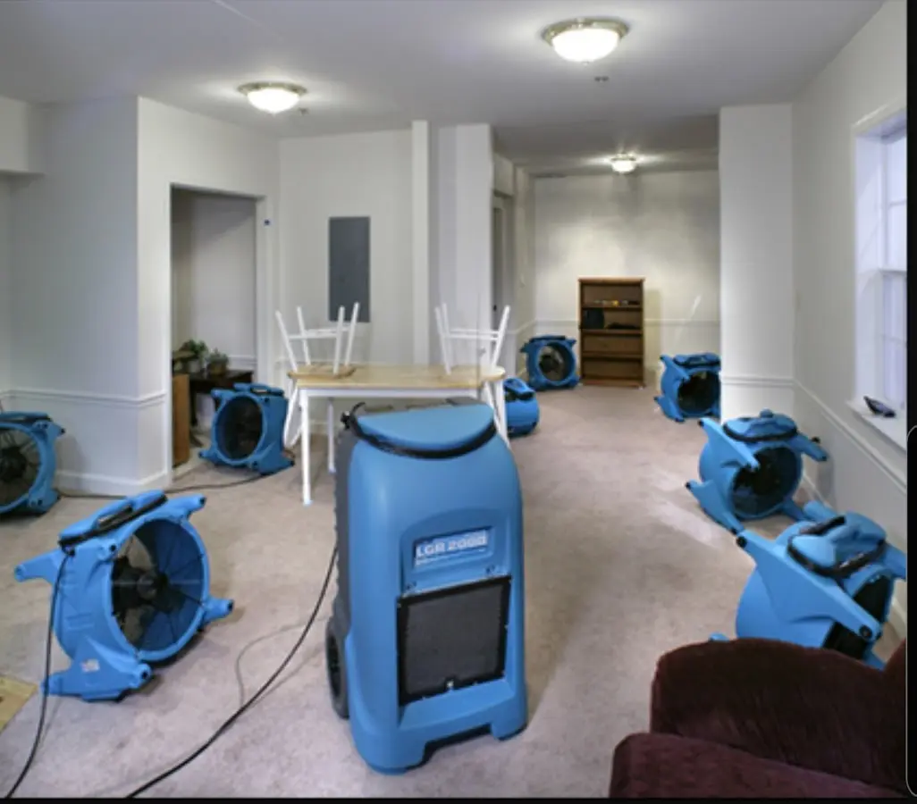 Air movers and dehumidifier setup for Water Extraction & Removal in Three Oaks