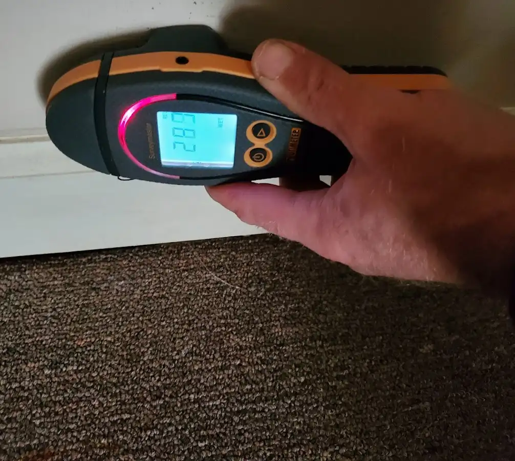 Moisture detection at baseboard during Mold Inspection & Testing in Three Oaks