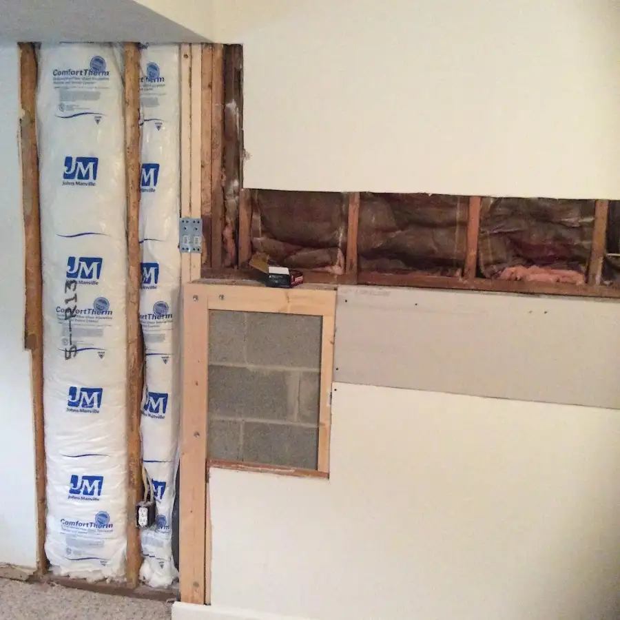 Wall insulation replacement during Odor Removal & Deodorization in Three Oaks